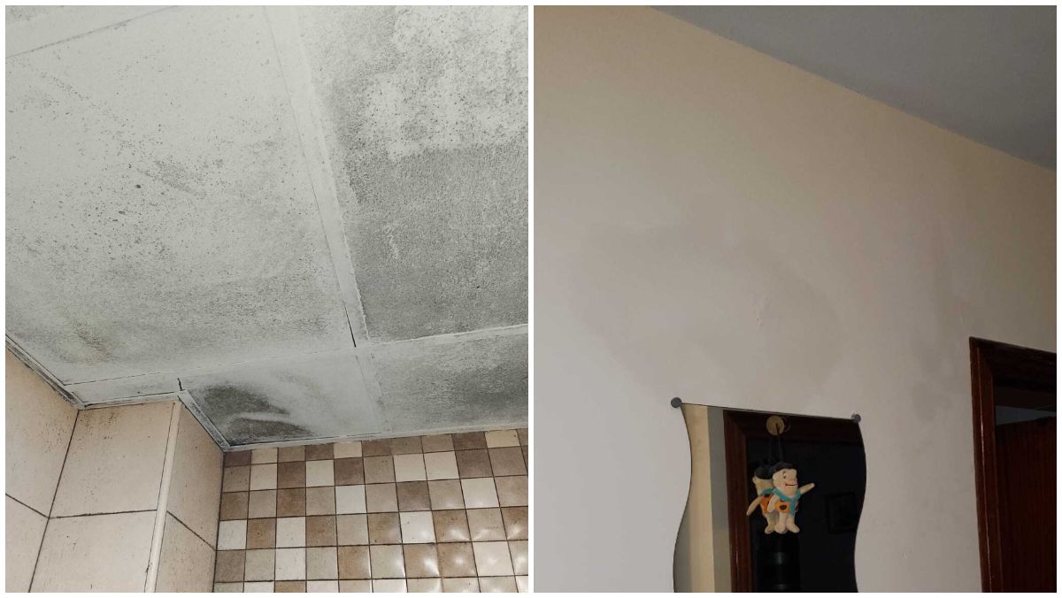 Estado de algunas viviendas en la barriada de la Asunción, en Jerez de la Frontera