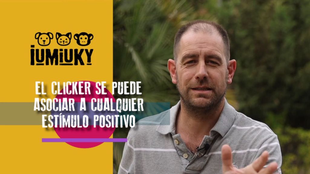 Adiestramiento: el clicker Iumiuky Temporada 3 Programa 262