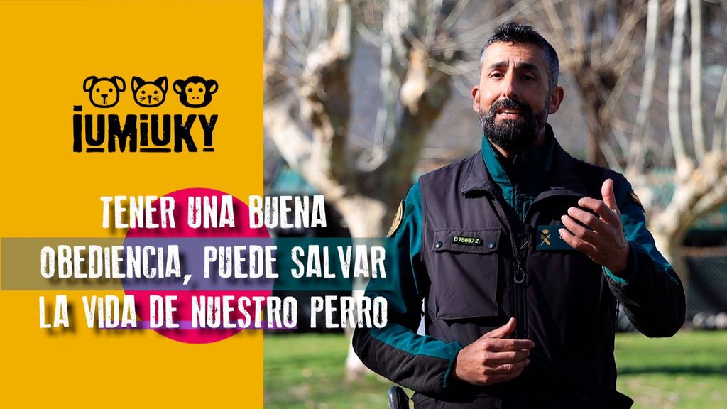Ejercicios de obediencia y control Iumiuky Temporada 3 Programa 263