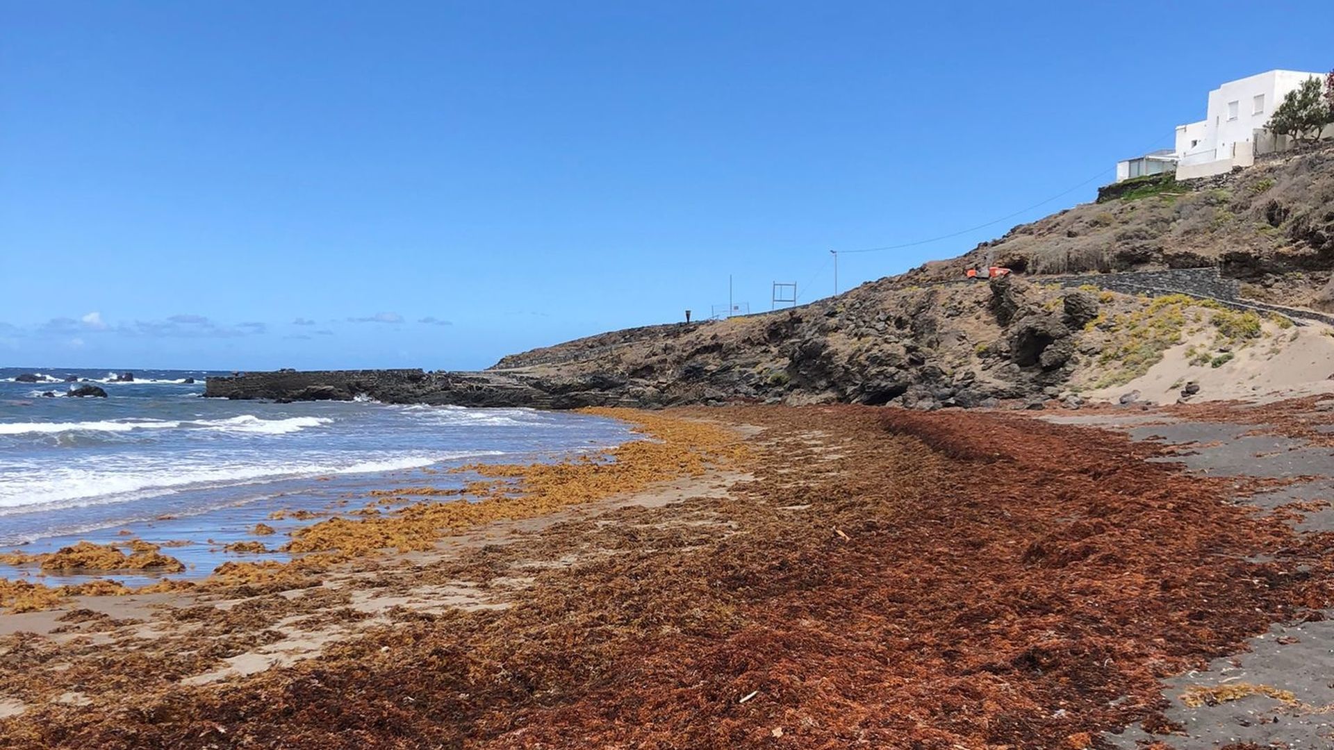 Mar de Sargazos en el Triángulo de las Bermudas