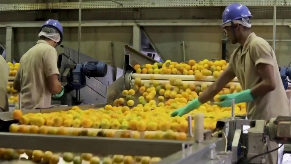 Expertos aclaran las dudas en torno a los estándares de los productos de Mercosur: "No hay ningún riesgo para la salud, cumplen las normas de la UE"