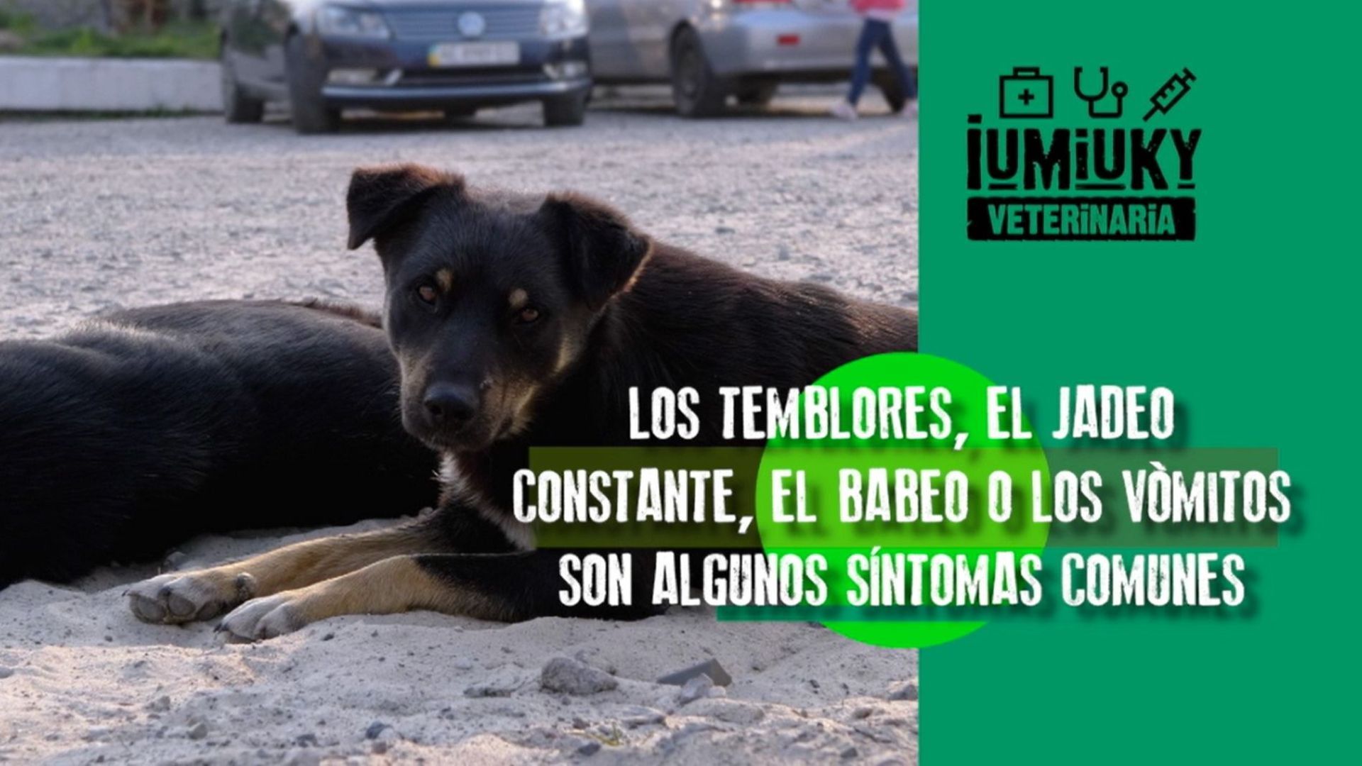 portada programa 120 portada programa 120