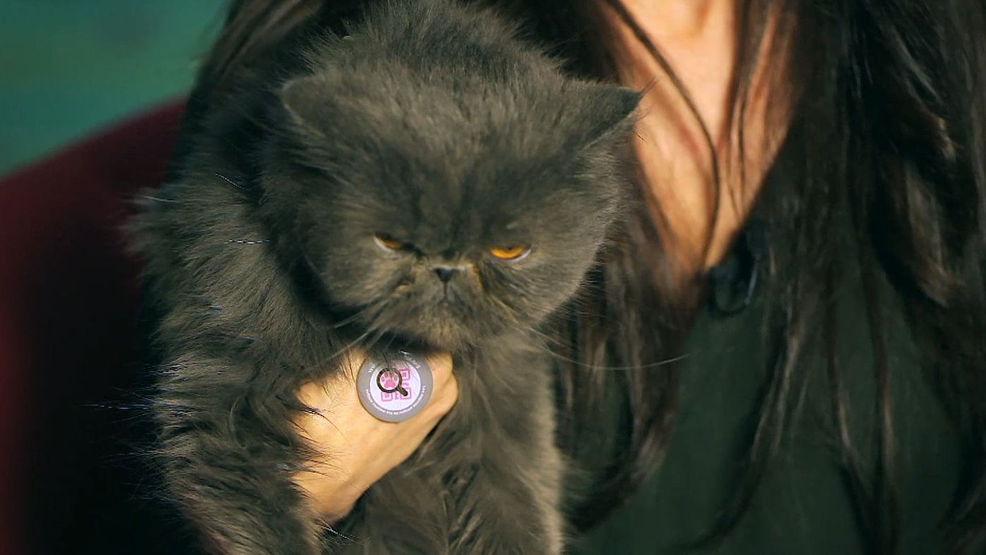 iumiuky 236 iumiuky 236