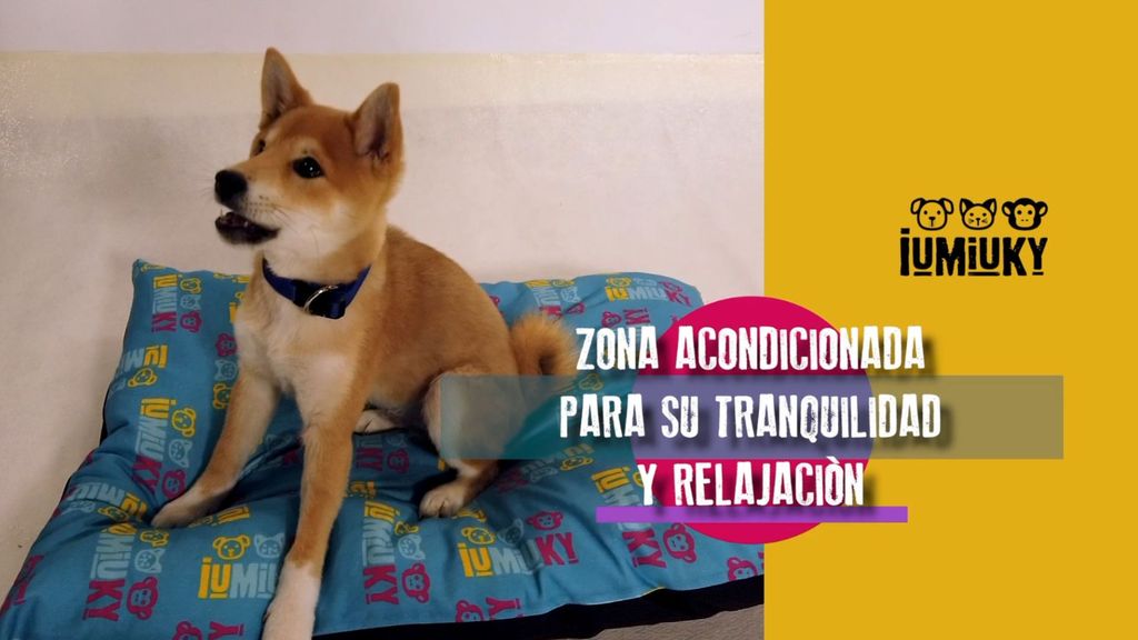 P302- Su espacio y mi espacio Iumiuky Temporada 3 Programa 302