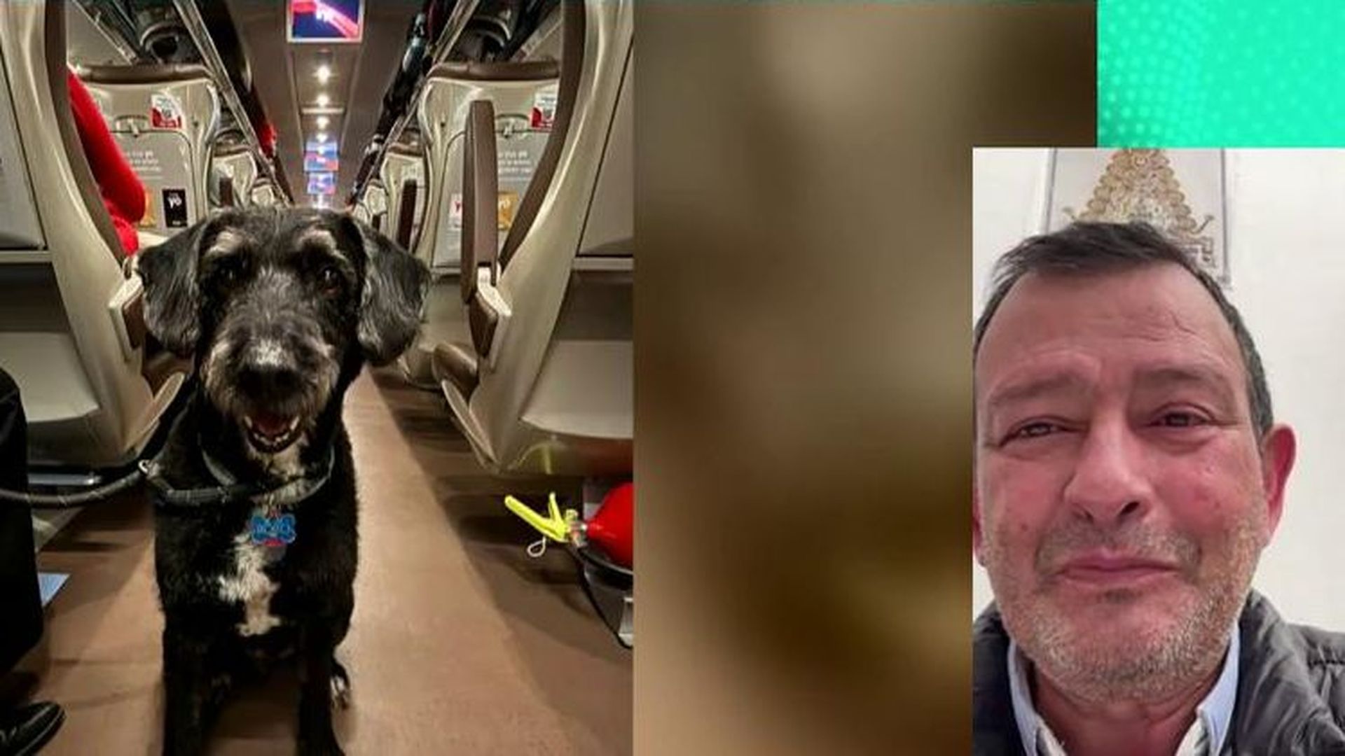 Se busca a Boro, el perro que viajaba en el vagón 7 del tren Iryo siniestrado: "Es como familia"