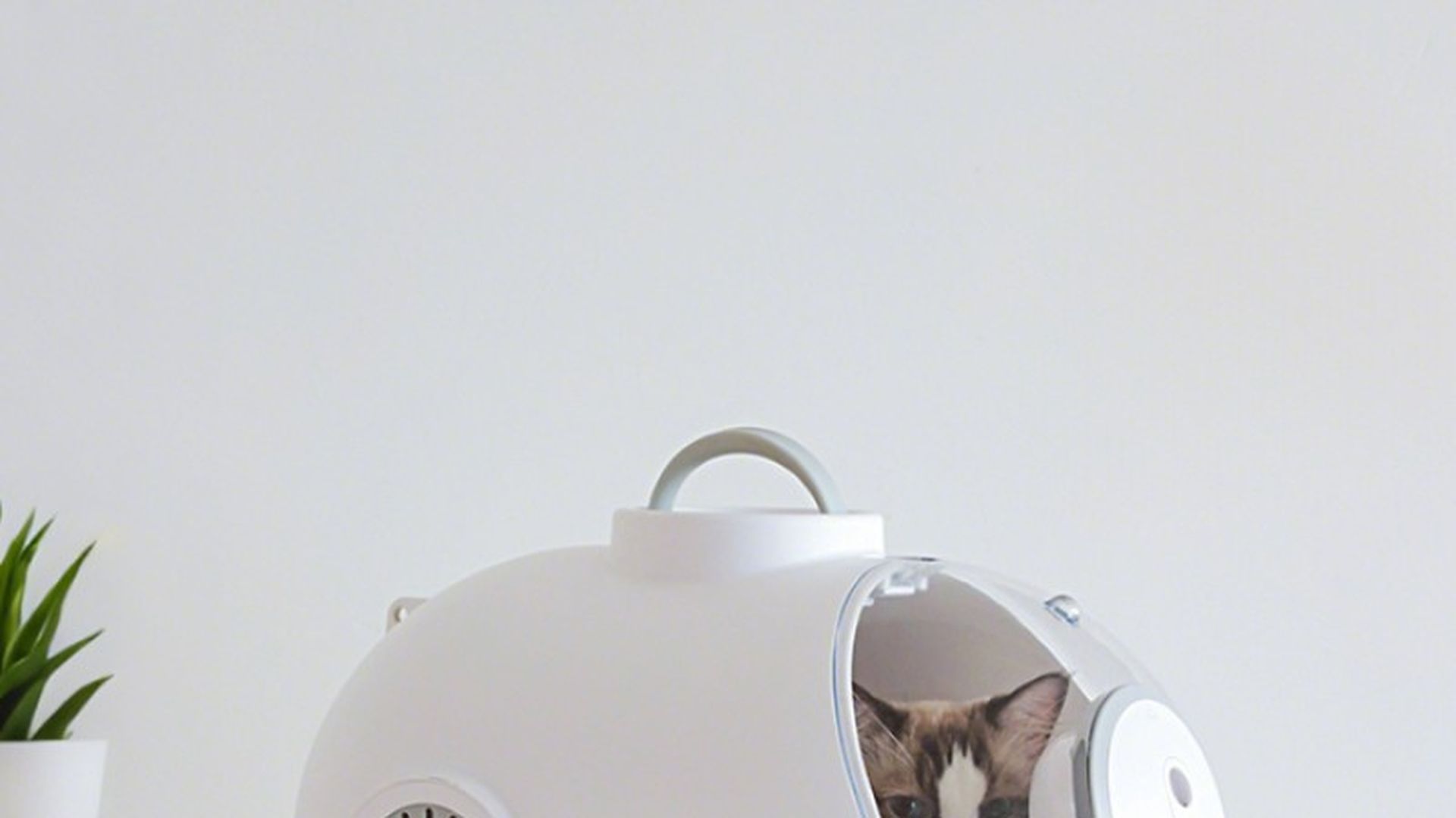 Transportes de animales del Jaecoo 5