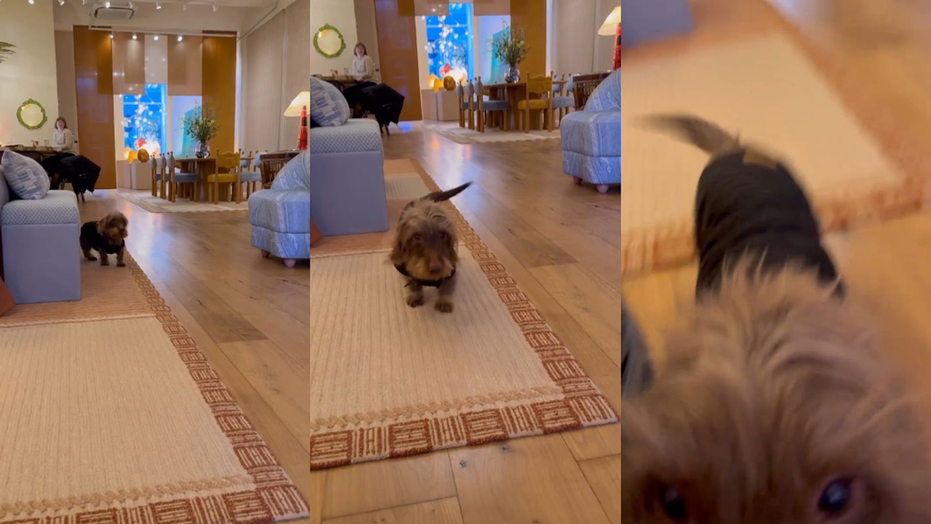 El primer vídeo que ha mostrado Cristina Iglesias en redes tras la polémica en torno a su padre