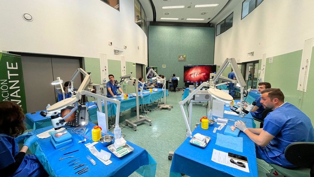 El MIR más multitudinario de la historia: más de 35.500 aspirantes optan a 12.366 plazas