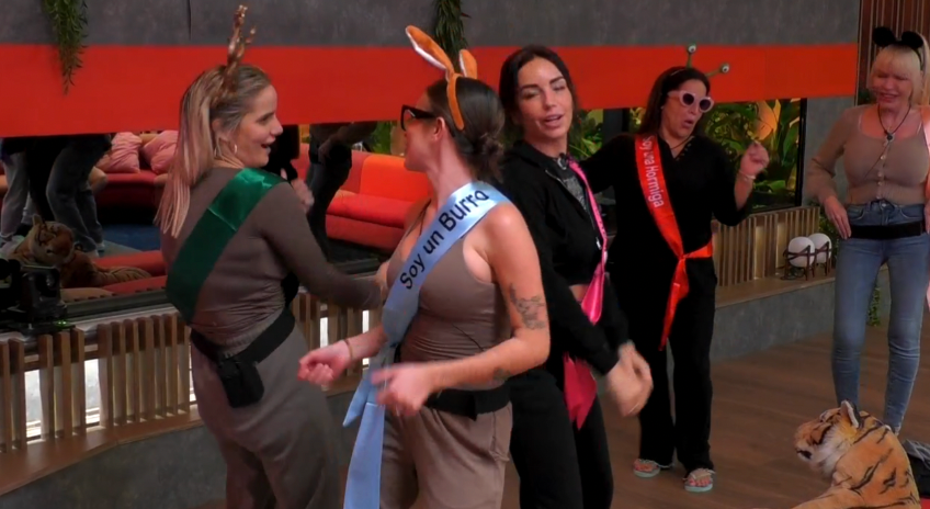 Los concursantes en la fiesta de San Antón