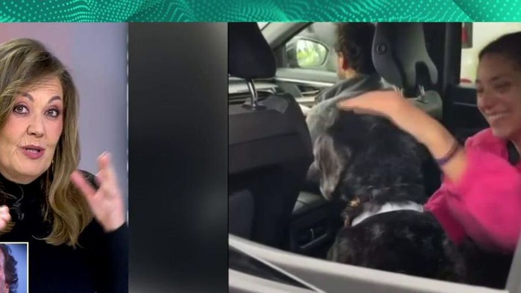 Así ha sido el rescate del Boro en Adamuz: "Han llevado una perra en celo y ha salido a por ella"