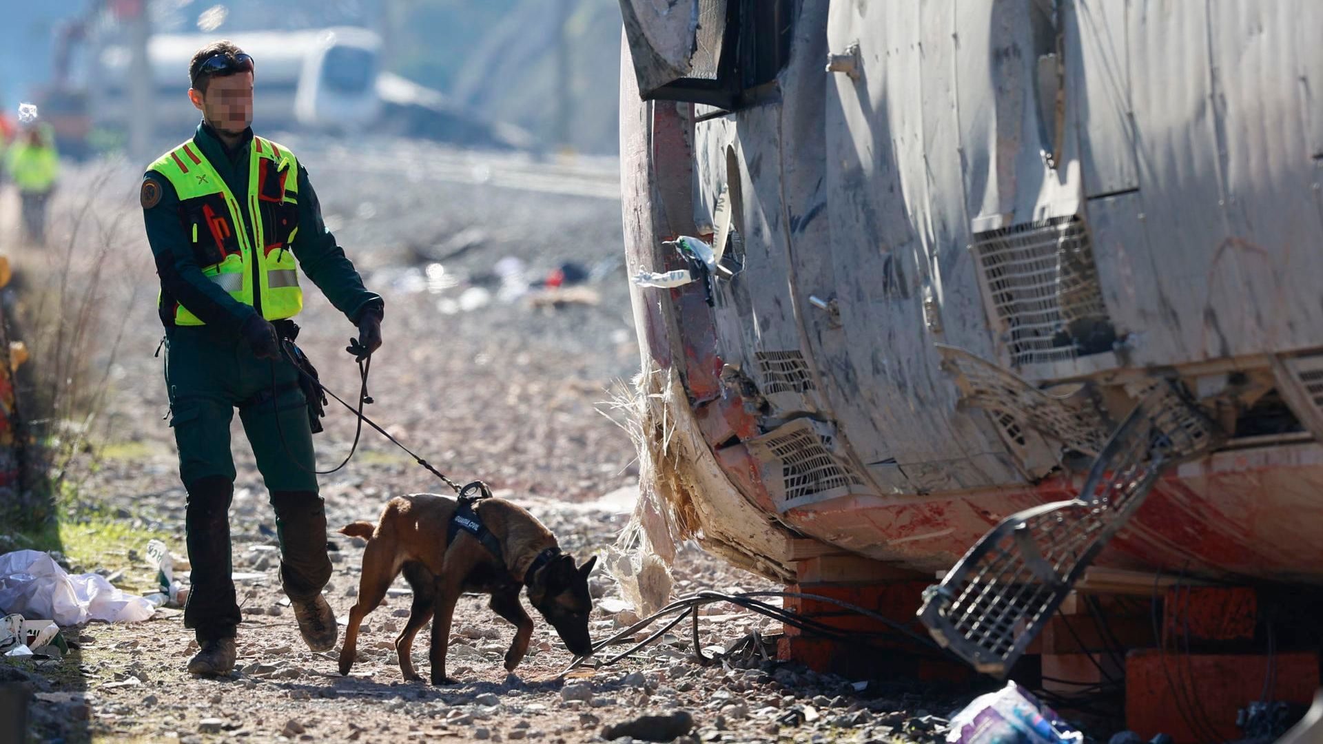 Perros buscando entre los escombros de los trenes en Adamuz