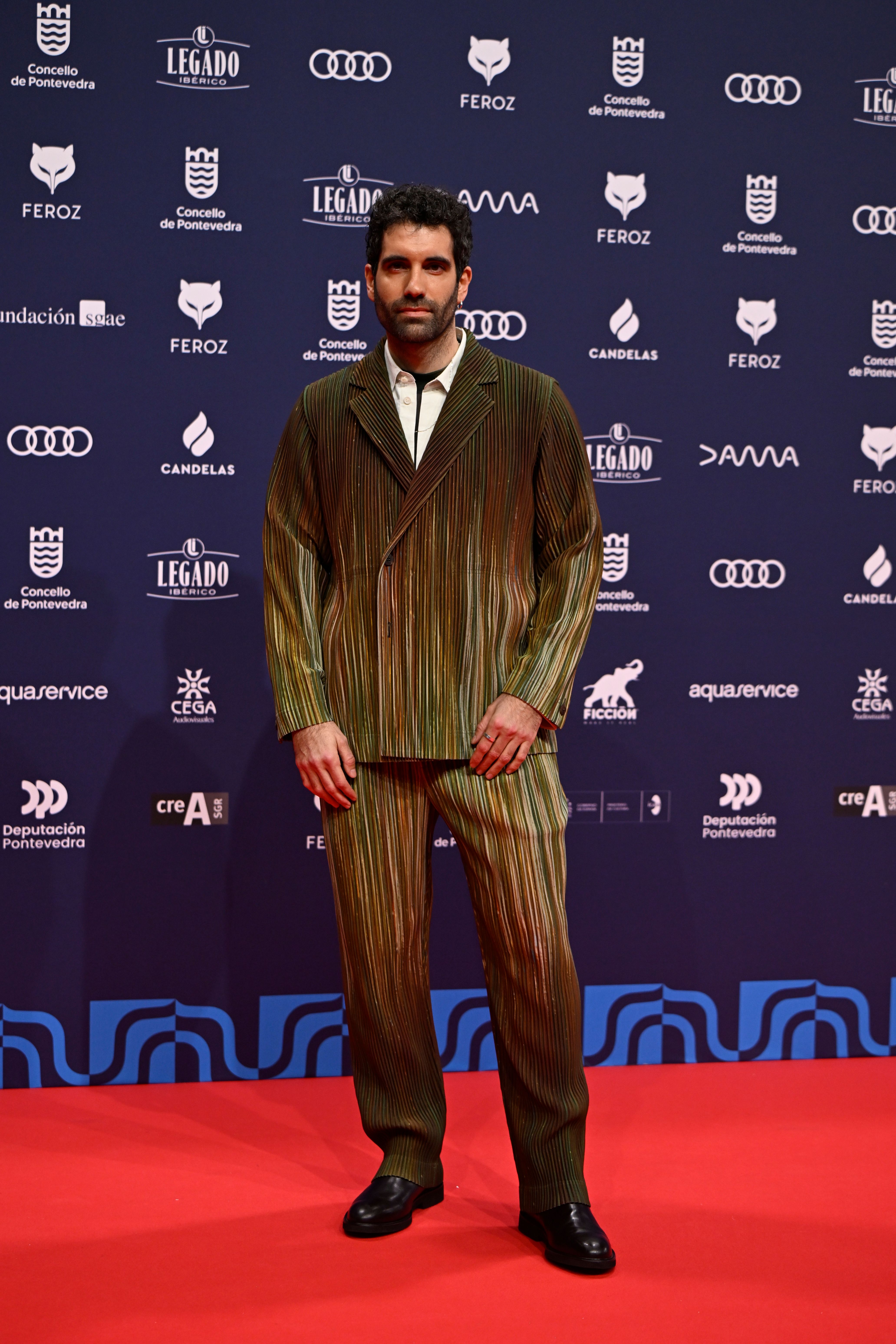 Tamar Novas en los Premios Feroz 2026