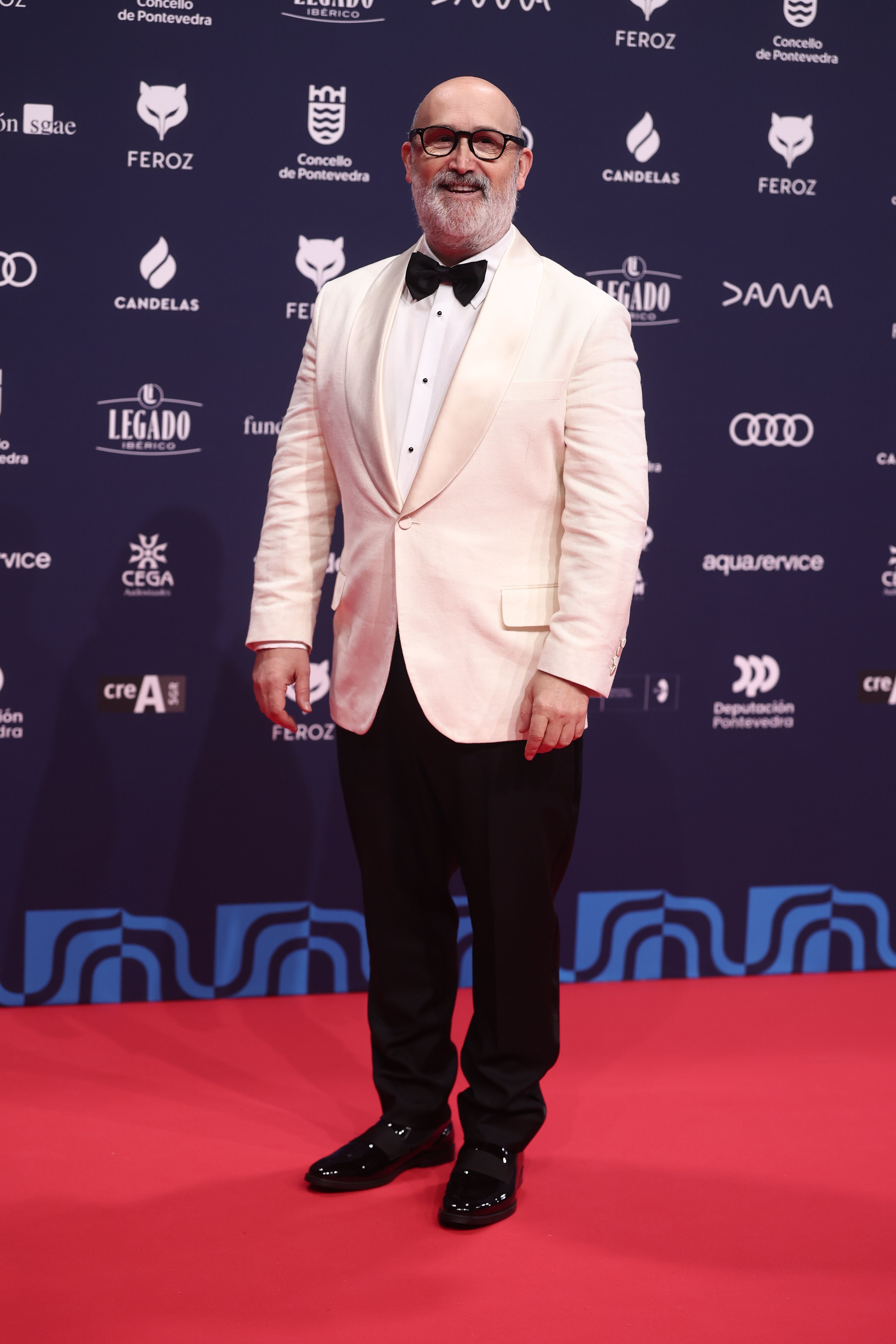 Javier Cámara, en los Premios Feroz 2026