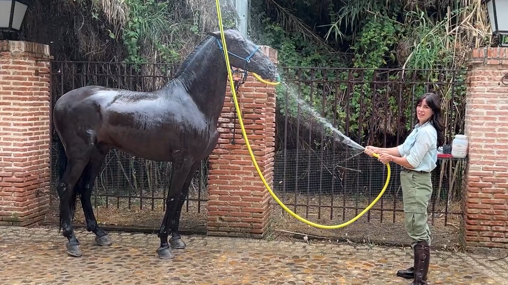 Visita al set de 'Pura Sangre'