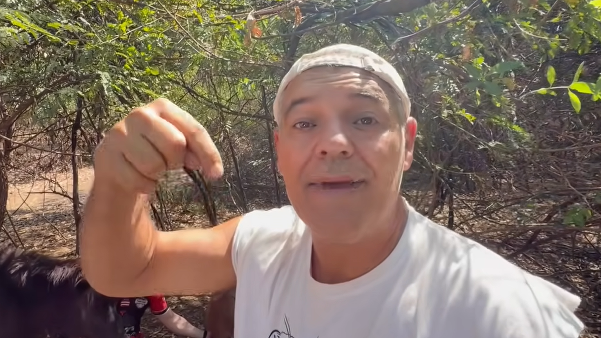 Frank Cuesta en su cuenta de YouTube