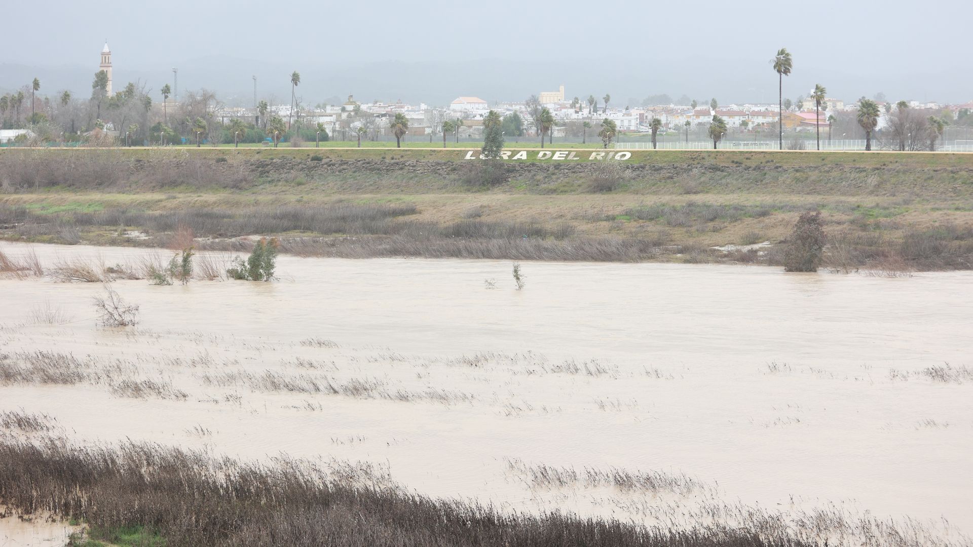 Andalucía, una de las comunidades más afectadas
