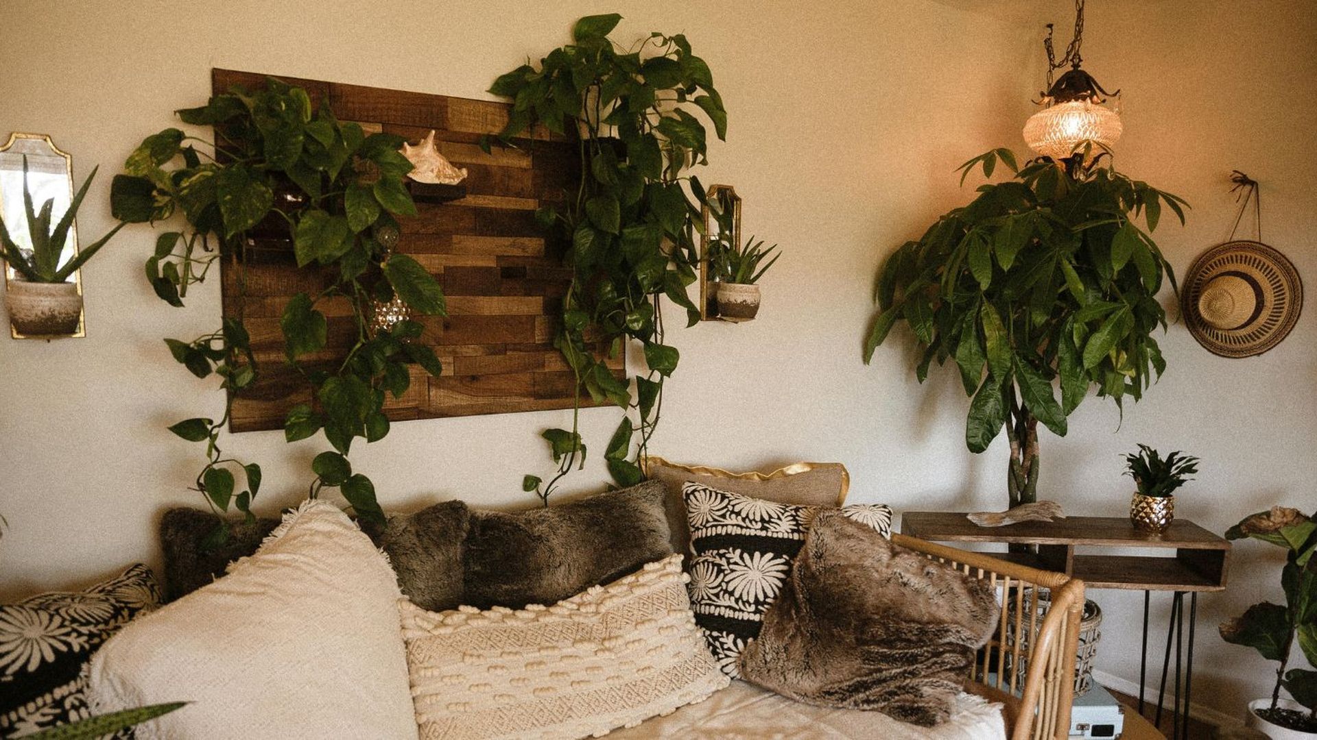 No hay nada como una buena planta para alegrar el salón de tu casa