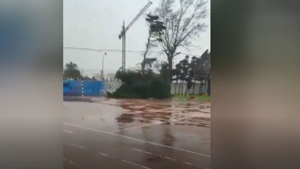 Extremadura aún resopla por los vientos huracanados de Kristin: las imágenes