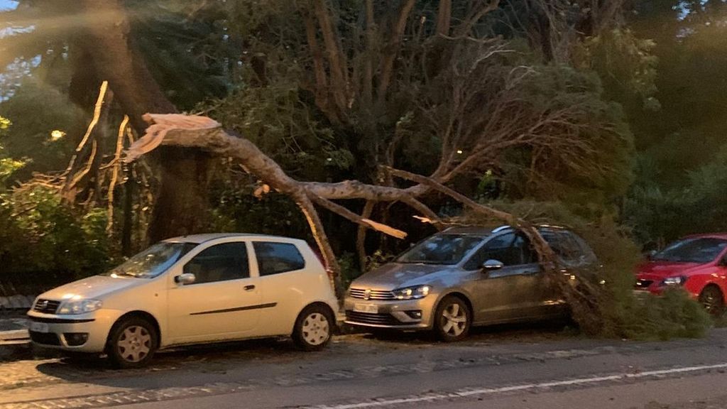 La borrasca Kristin causa estragos en Cádiz: árboles partidos por la mitad por fuertes rachas de viento, carreteras cortadas y desalojos por inundaciones