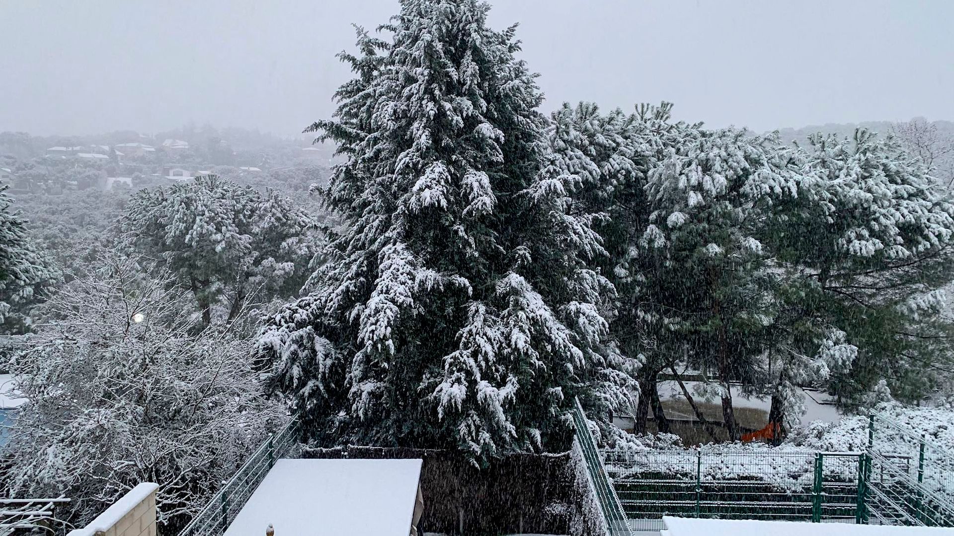 Vista de los árboles nevados en Torrelodones, Madrid