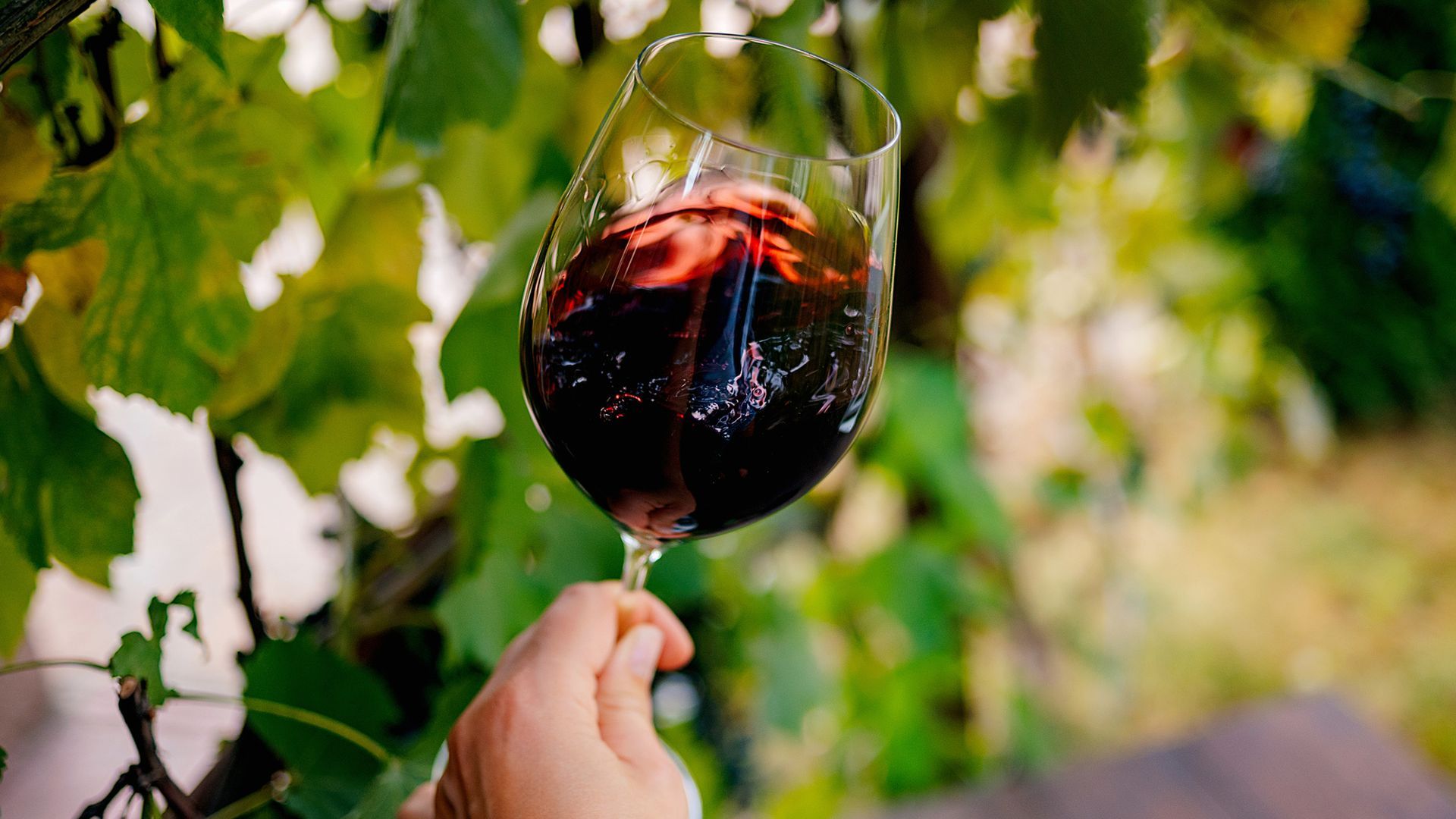 El Cune Crianza 2021 es un vino barato y bueno El Cune Crianza 2021 es un vino barato y bueno