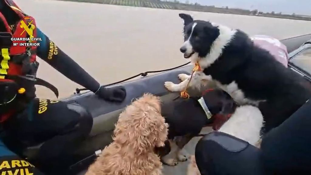 Así ha evacuado la Guardia Civil a las familias en Jerez de Guadalete