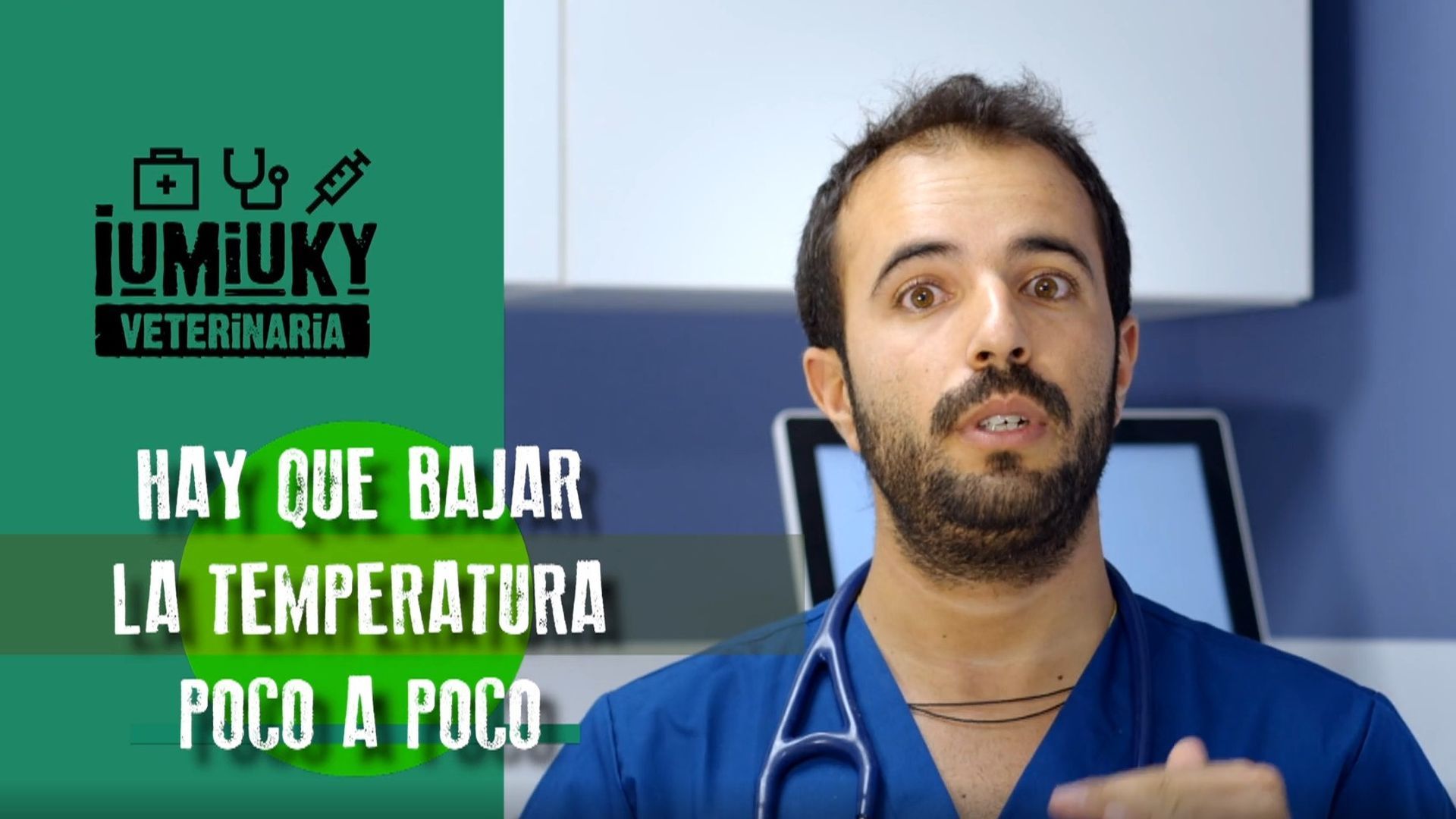 iumiuky veterinaria golpes de calor iumiuky veterinaria golpes de calor