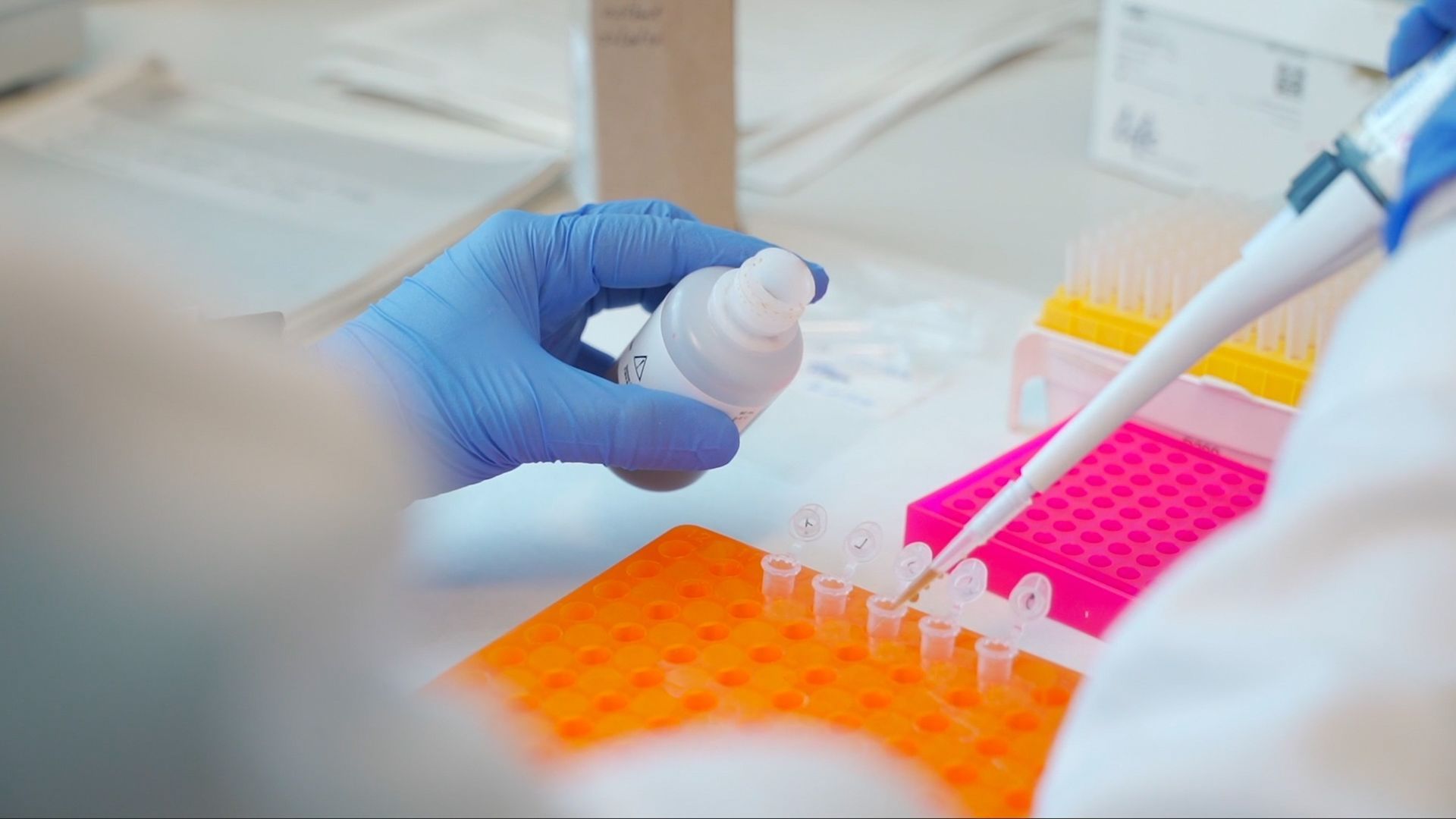 Las terapias de reemplazo hormonal (TRH) no suponen un cambio importante en las consecuencias de la menopausia en los cerebros de las mujeres Las terapias de reemplazo hormonal (TRH) no suponen un cambio importante en las consecuencias de la menopausia en los cerebros de las mujeres