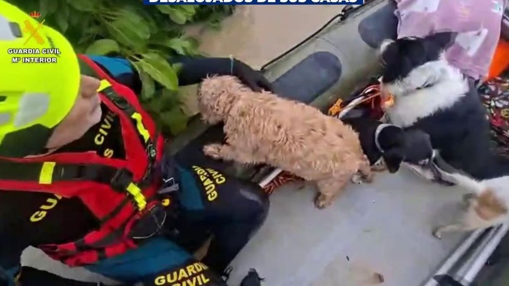 Rescates por la crecida del río Guadalete: "Si no nos avisa el perro aparecemos flotando en la autovía"