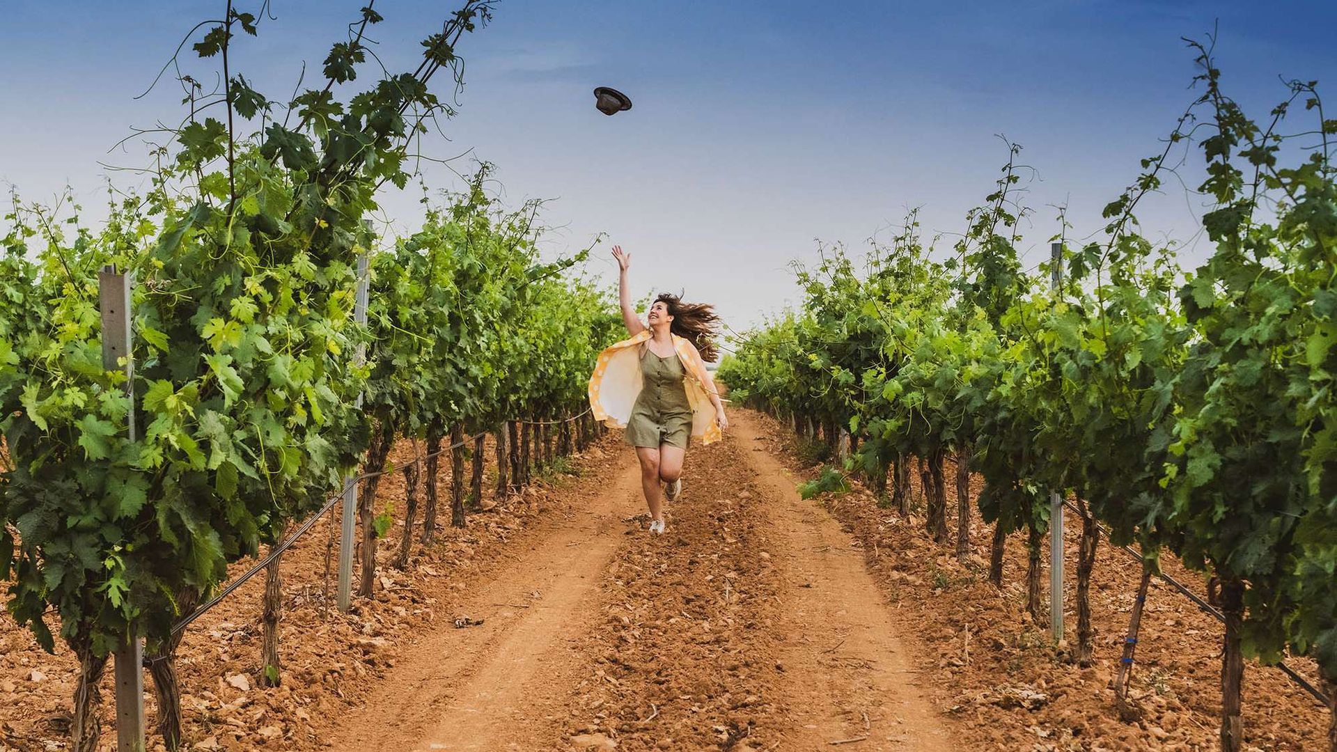 Ruta del vino Ribera del Duero