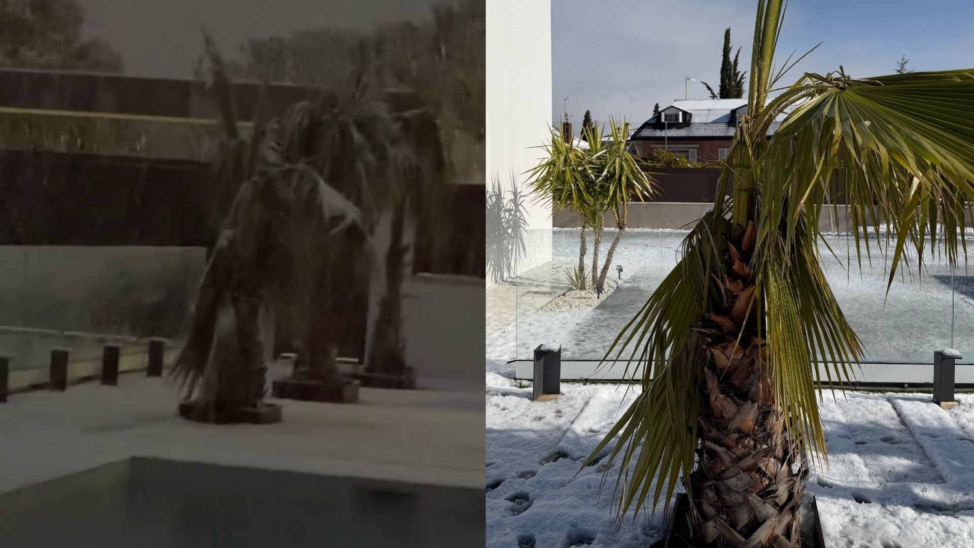 Sofía Suescun enseña el antes y el después de sus palmeras por la borrasca Kristin