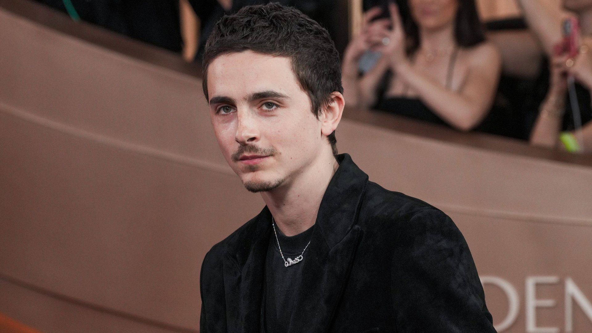 Timothée Chalamet