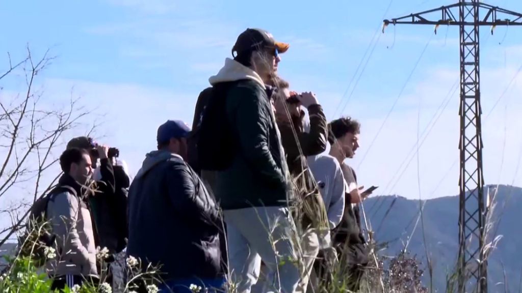 El 'alonsismo' se vuelca con Fernando Alonso