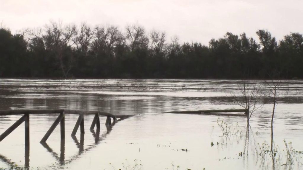 Más de 500 vecinos de Jerez regresan a sus casas y un centenar permanece desalojado