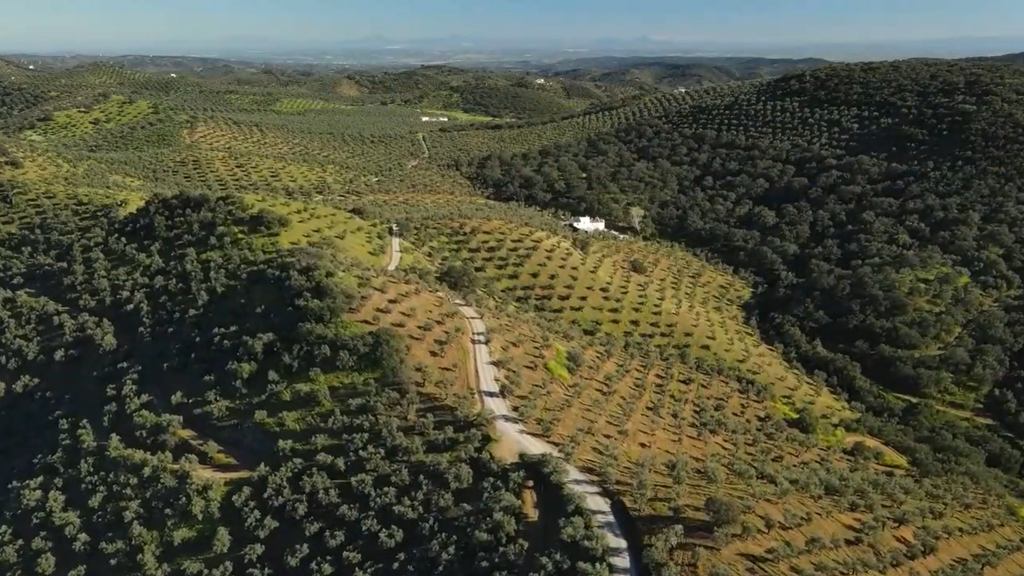 Adamuz, el pueblo que no quiere ser recordado solo por la tragedia de los trenes