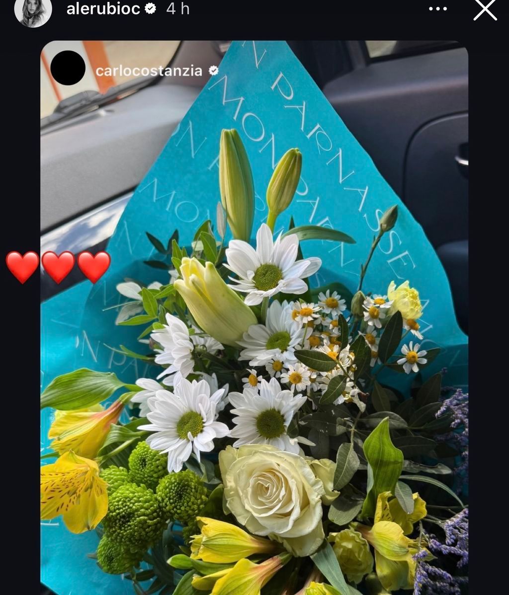 La relevante publicación de Alejandra Rubio