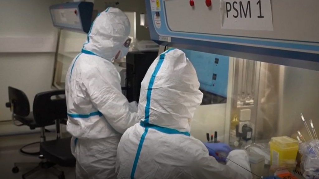 El Centro Europeo para la Prevención considera improbable que el virus Nipah llegue a Europa