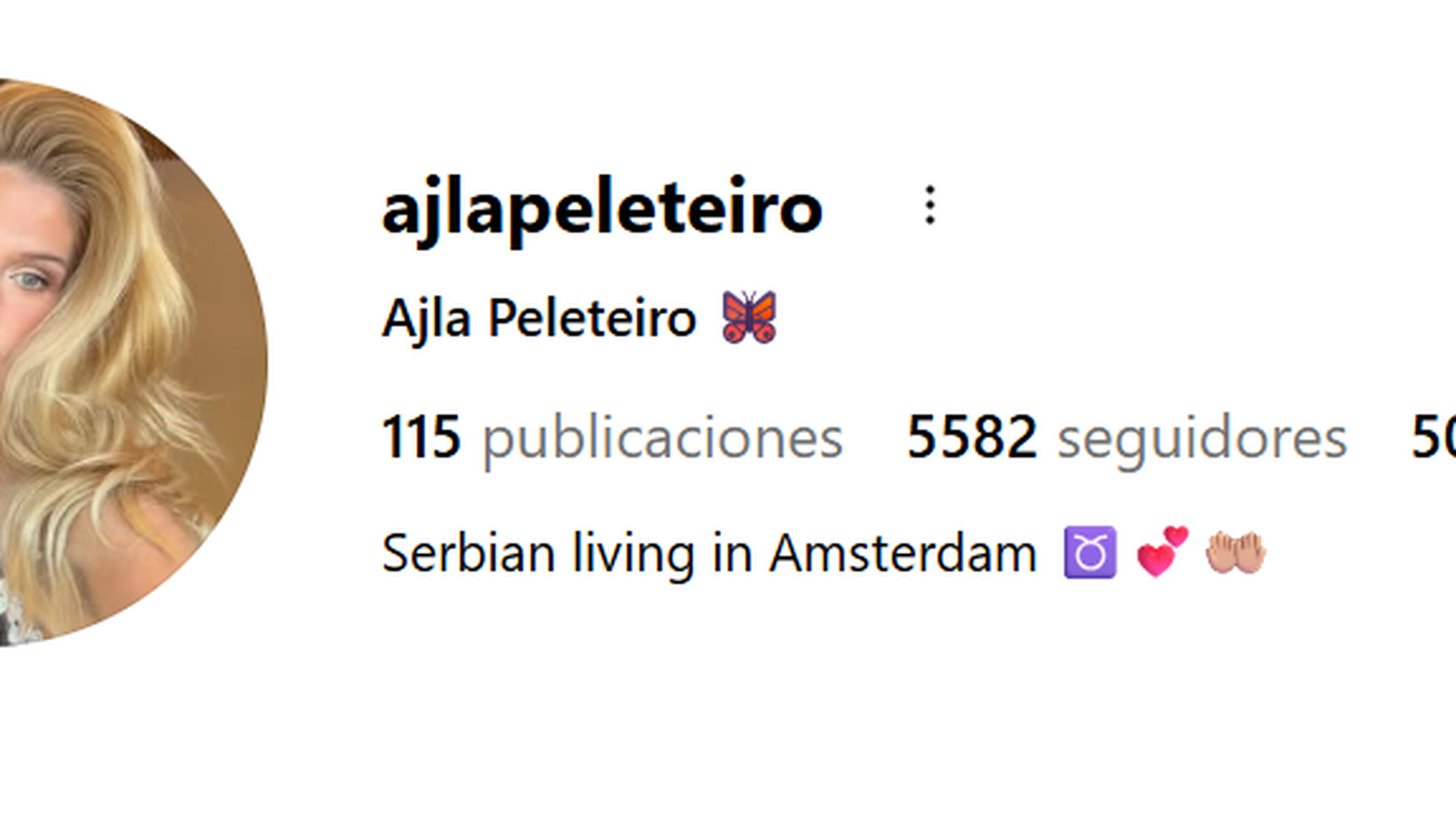 Perfil de Instagram de Ajla Etemovic