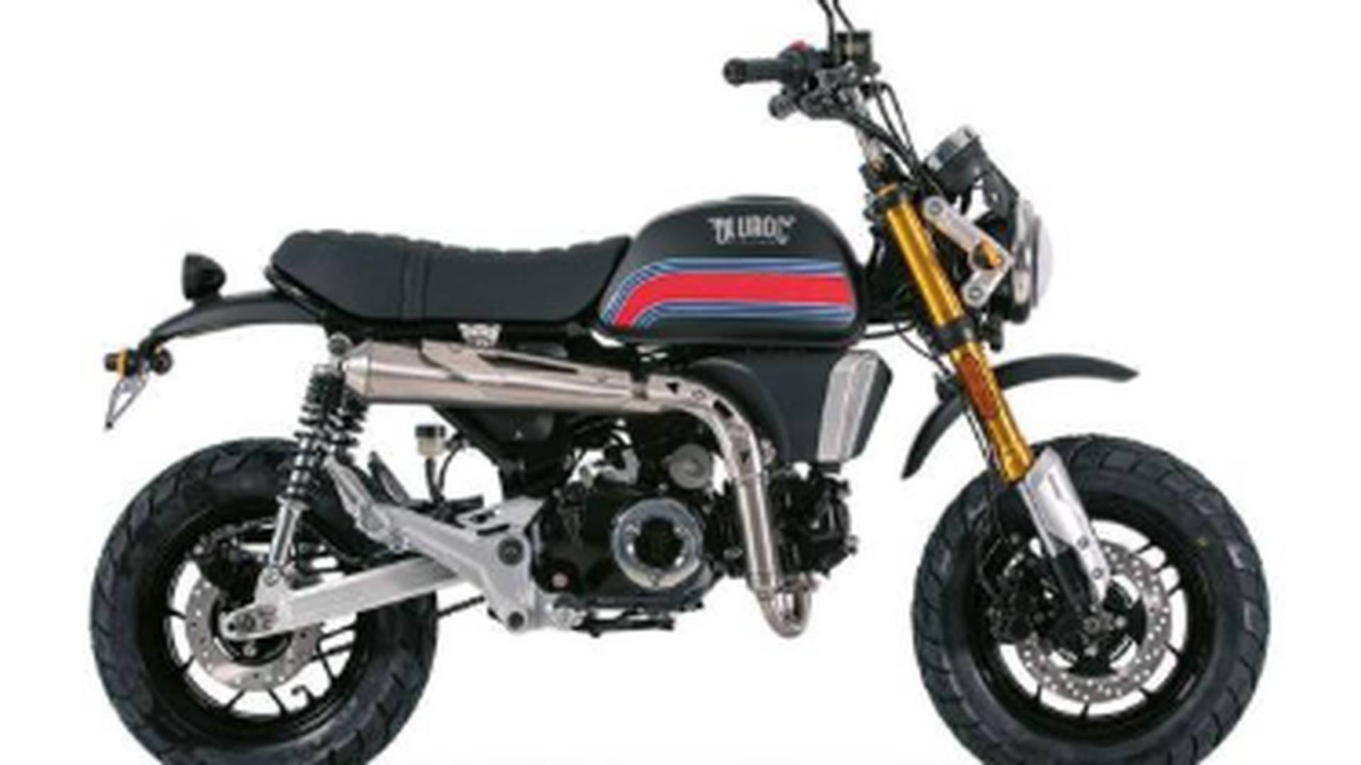 Bluroc X-Bongo Bluroc X-Bongo