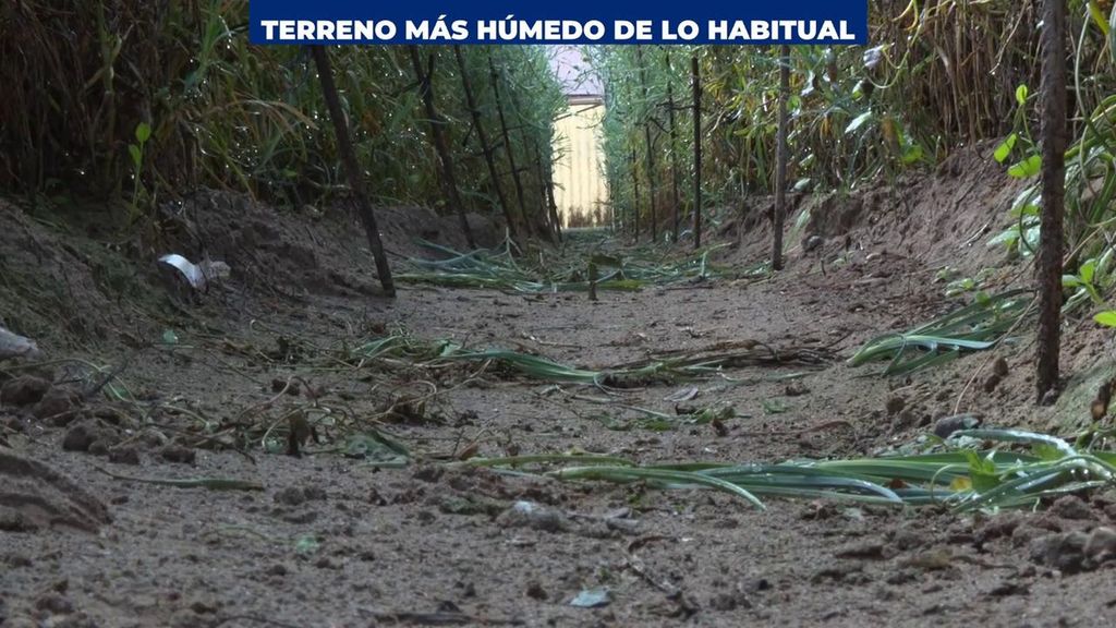 Los terrenos, al límite por las lluvias