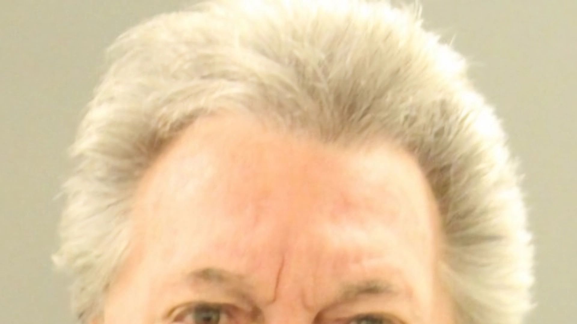 William Stevenson, exmarido de Jill Biden, acusado de asesinar a su mujer