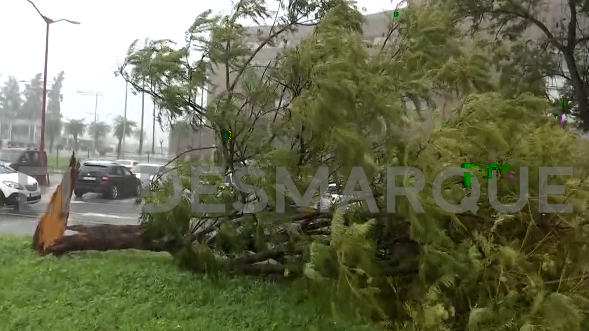 Los jugadores del Betis se concentran con el temporal antes del Atlético