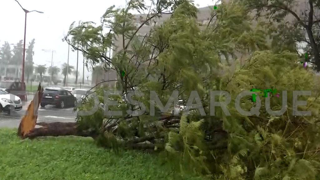 Los jugadores del Betis se concentran con el temporal antes del Atlético