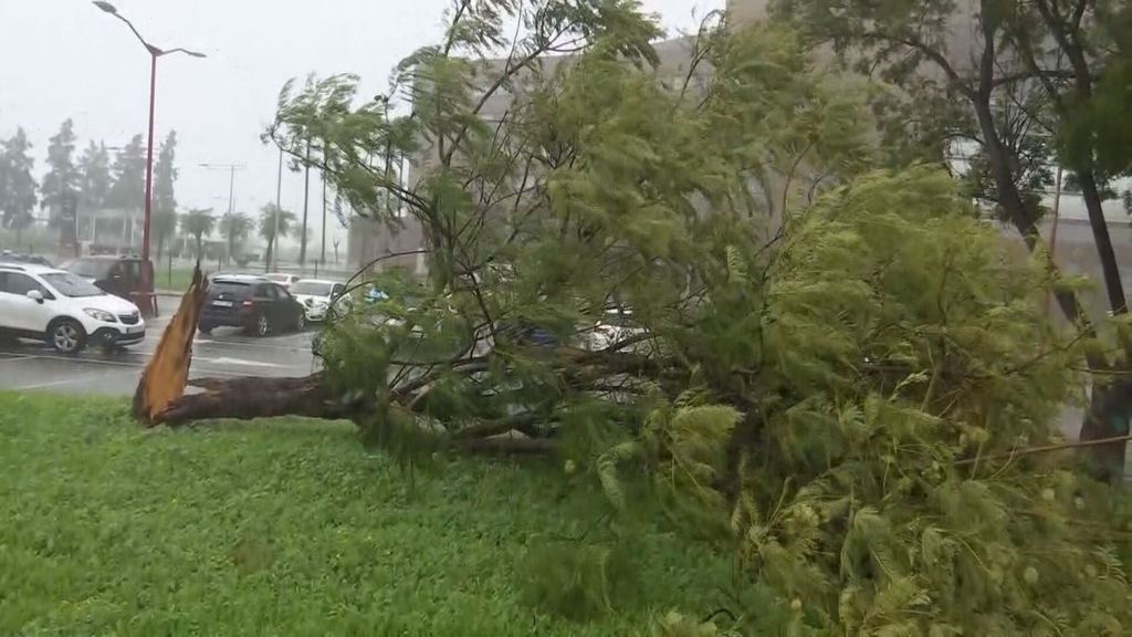 Los jugadores del Betis se concentran con el temporal antes del Atlético