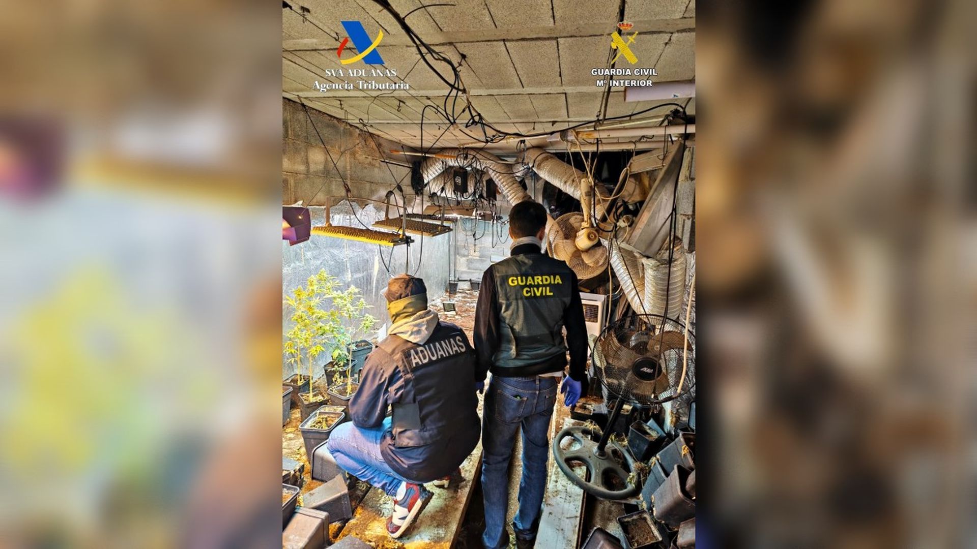 La Guardia Civil desmantela un centro de producción de marihuana en Granada