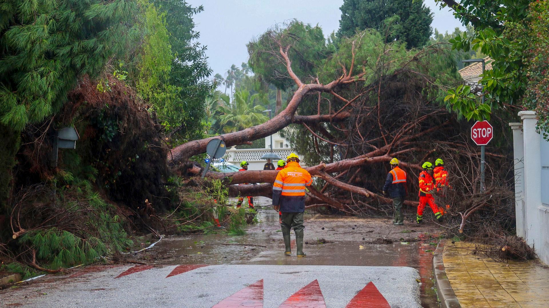 Los estragos de la borrasca Leonardo en la península, en imágenes