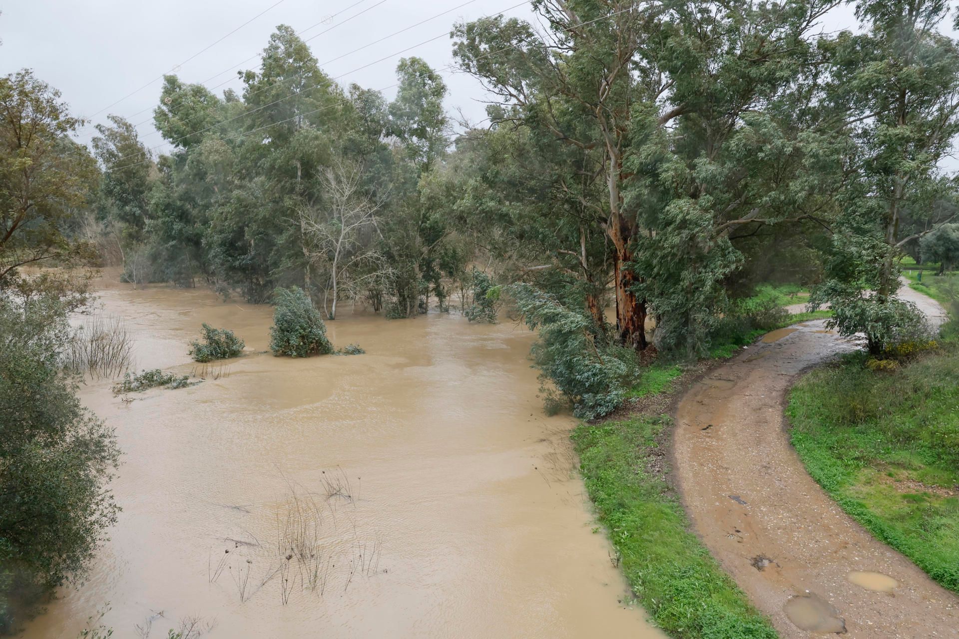Los estragos de la borrasca Leonardo en la península, en imágenes