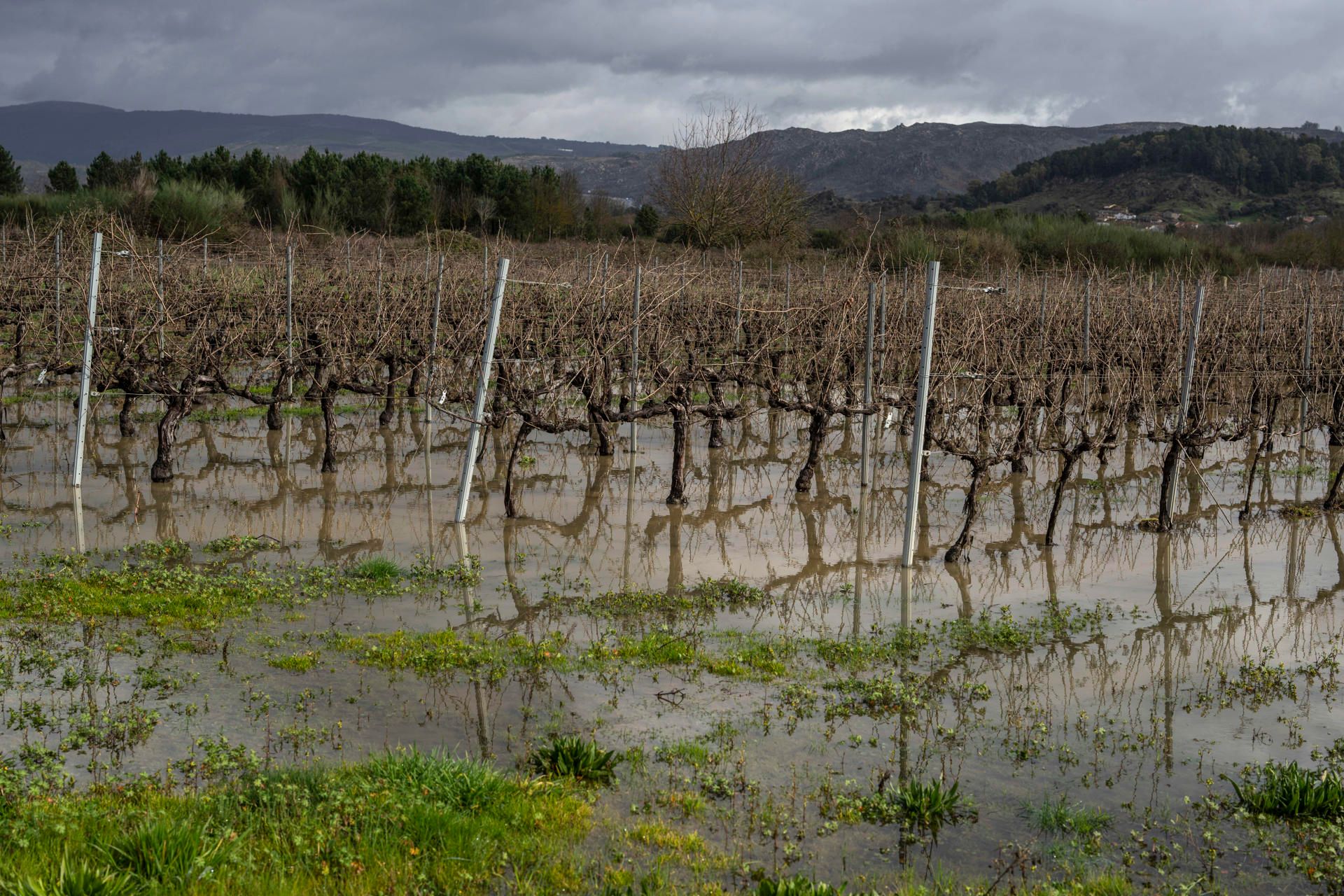 Los estragos de la borrasca Leonardo en la península, en imágenes