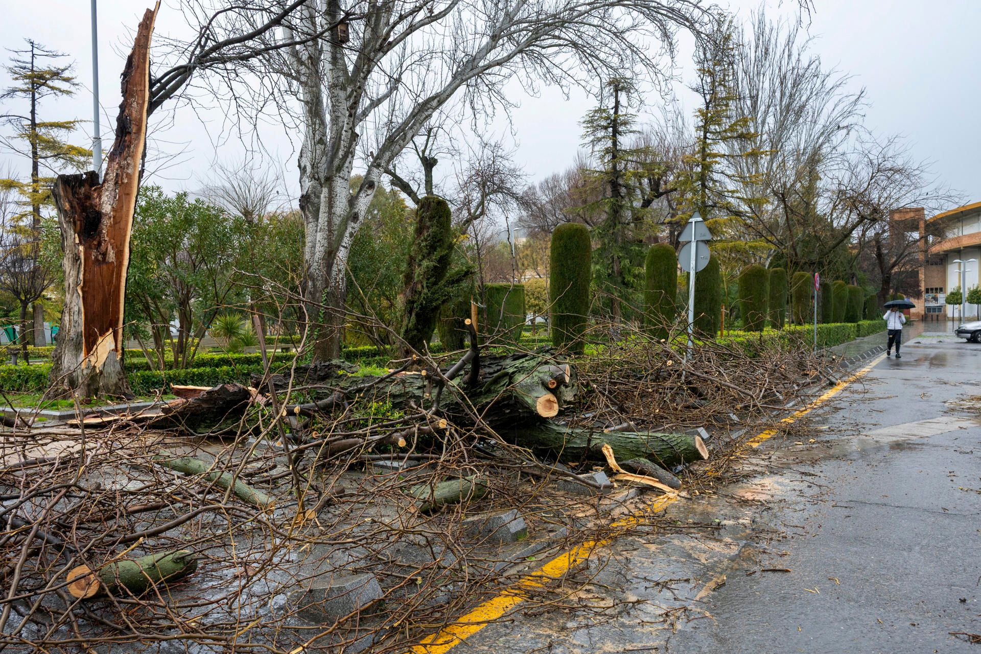 Los estragos de la borrasca Leonardo en la península, en imágenes