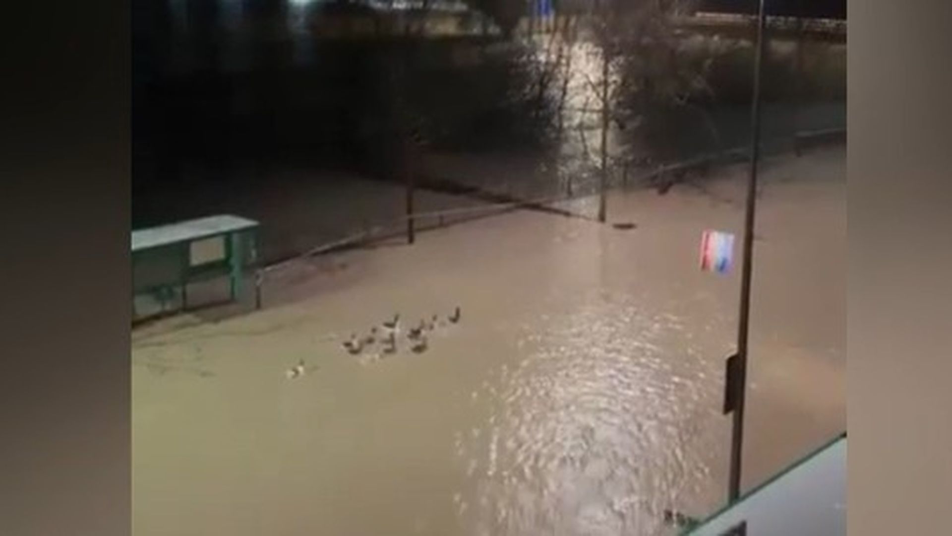 Los patos aprovechan la crecida del río Genil y nadan por las calles de Huétor Tajar, en Granada